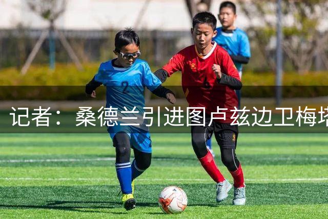 记者：桑德兰引进图卢兹边卫梅塔利达成协议，总价3000万欧