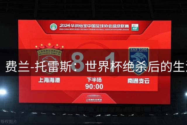 费兰-托雷斯：世界杯绝杀后的生活蜕变与足球梦想